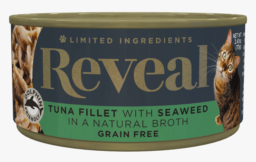 Kitten, HD Png Download