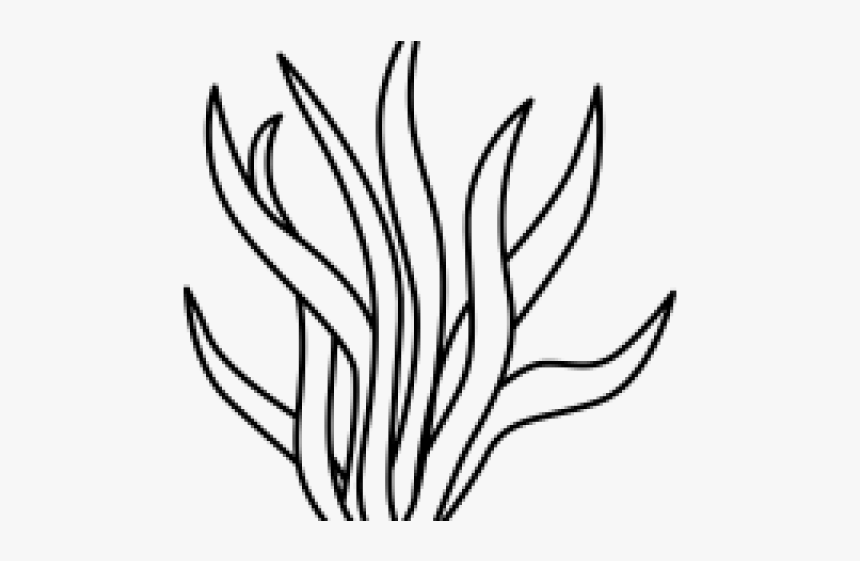 Seaweed Black And White Clipart, HD Png Download
