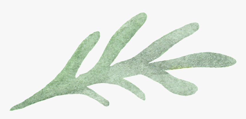 Drawn Seaweed Transparent - Grass, HD Png Download