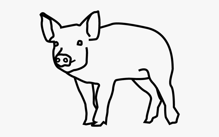 Domestic Pig, HD Png Download