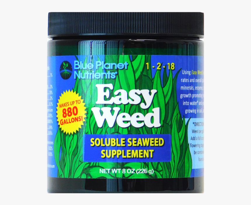 Aster, HD Png Download