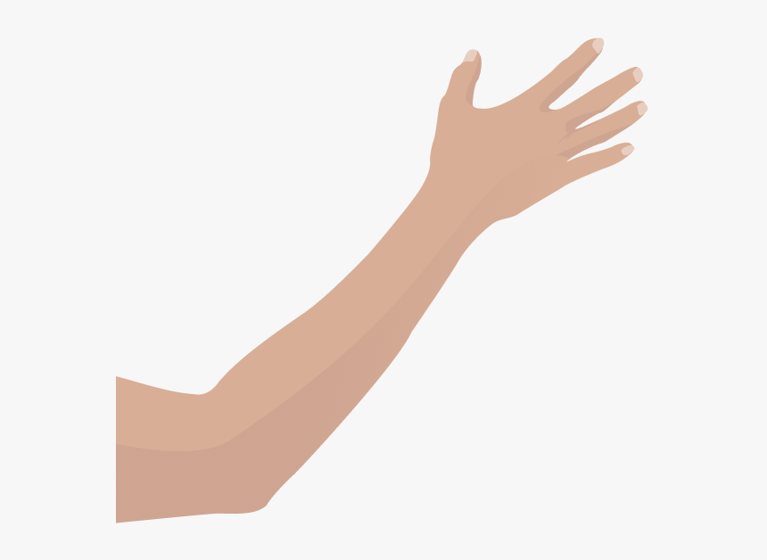 Shadow, HD Png Download