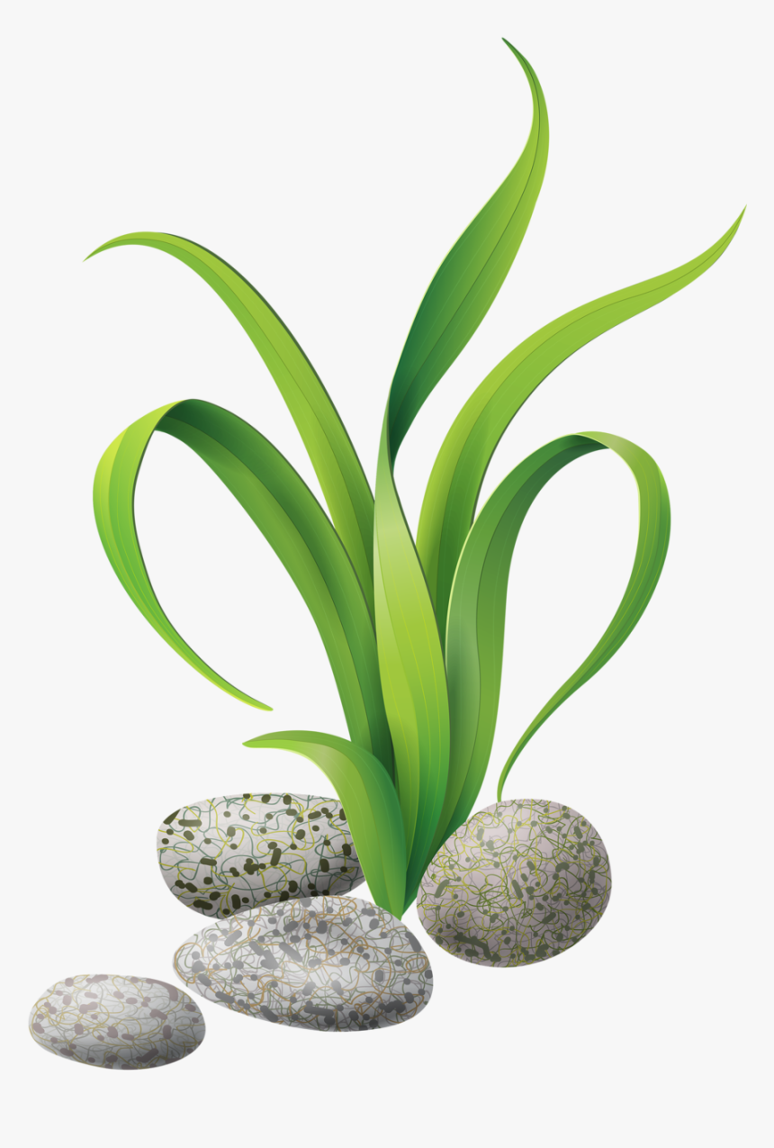 Seaweed Clipart Gif - Seaweed Under The Sea Clipart, HD Png Download