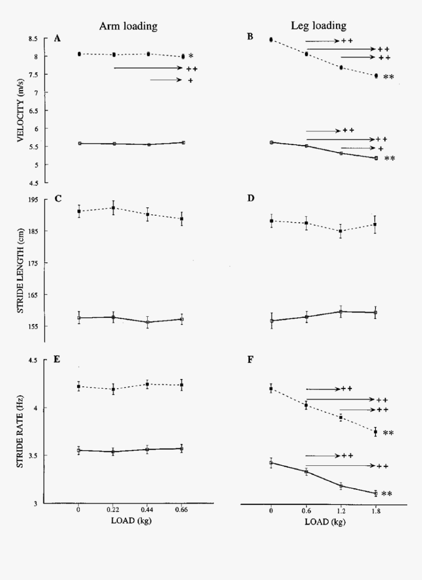 Document, HD Png Download