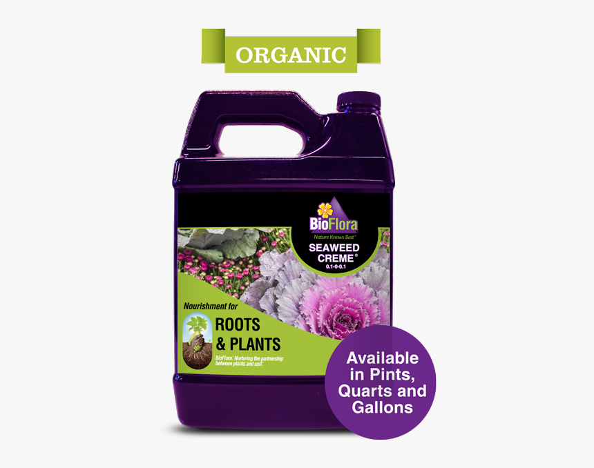 Seaweed-cremev2 Website - Seaweed Creme, HD Png Download