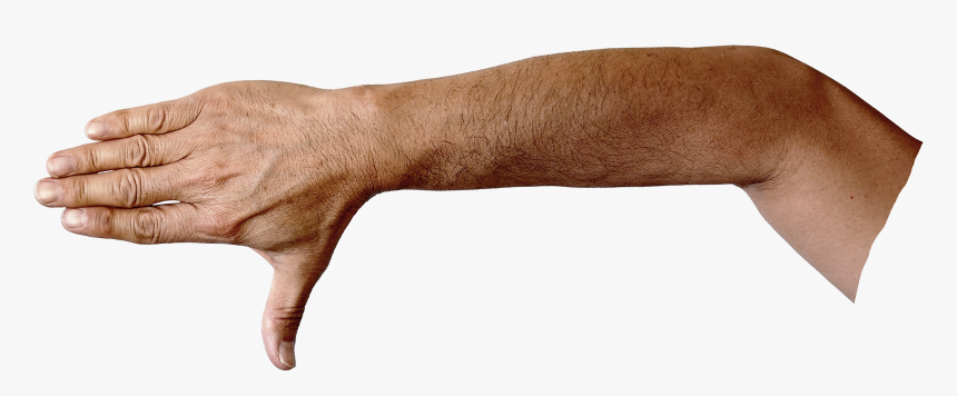 Puma, HD Png Download