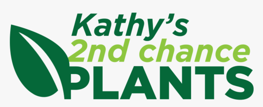 Transparent Underwater Plants Png - Poster, Png Download