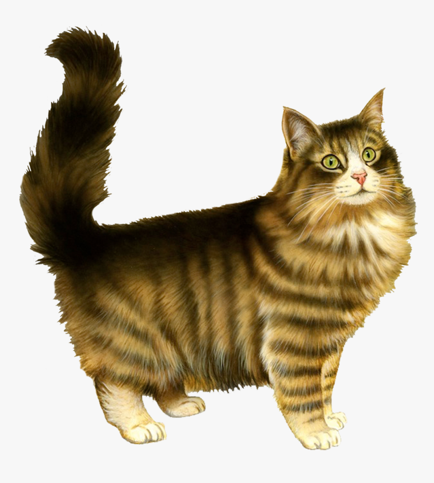 Download Cat Png - Cat Valentine Cards, Transparent Png