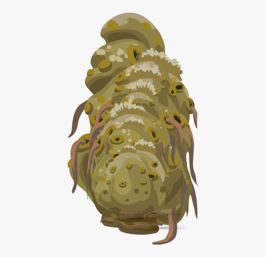 Organism,plants,sea - Illustration, HD Png Download