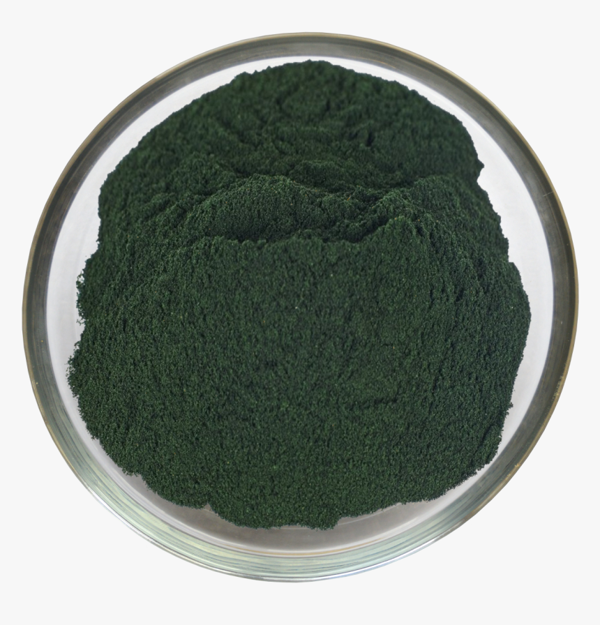 Circle, HD Png Download