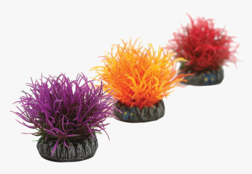 Transparent Underwater Plants Png - Biorb Color Ball, Png Download