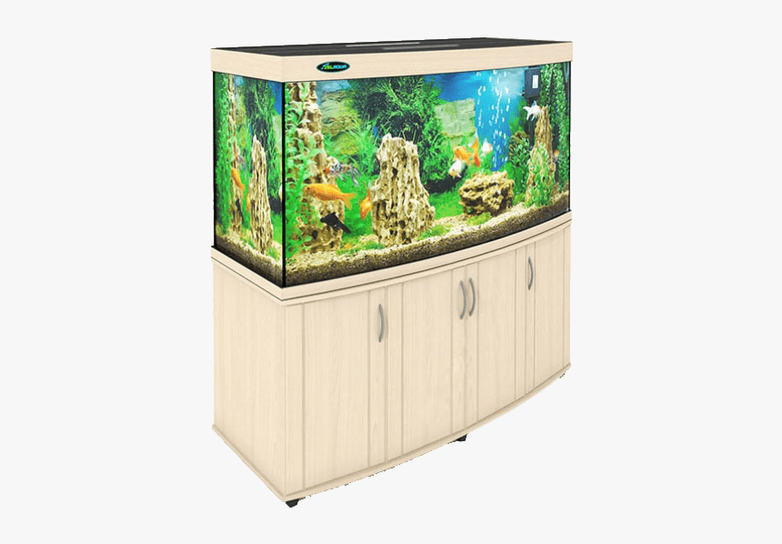 Aquarium Png - Aquarium, Transparent Png