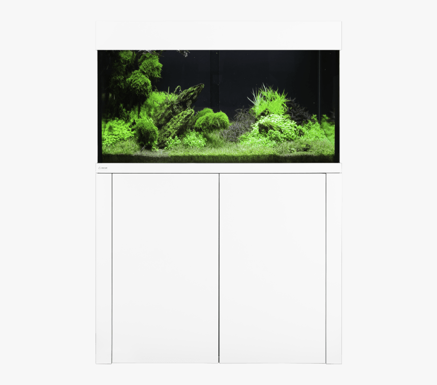 Aquarium, HD Png Download