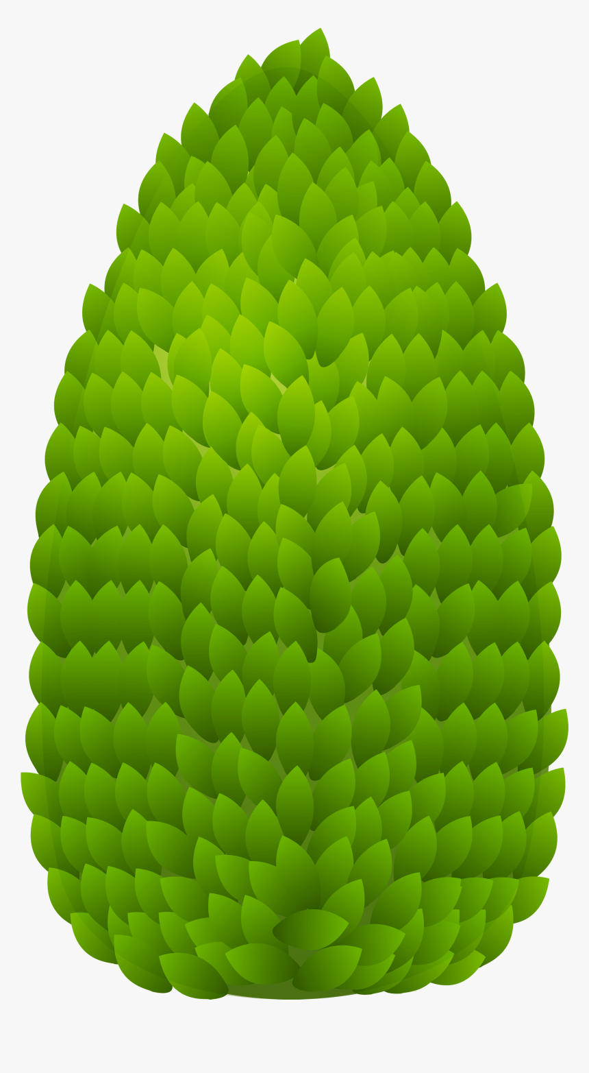 Outdoor Plant Png Clipart - Outdoor Plant Clipart Png, Transparent Png