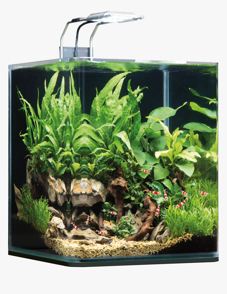 Dennerle Nano Cube 30l, HD Png Download