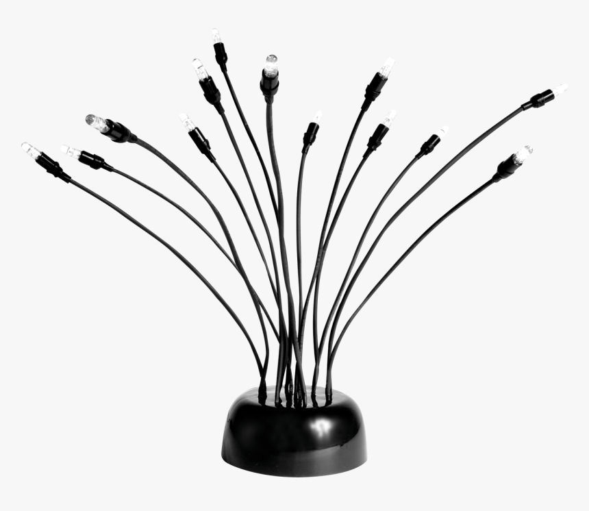 Velda Vijververlichting, HD Png Download