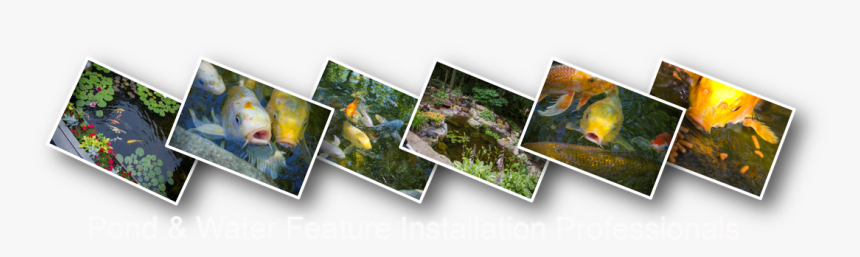 Picture - Texas, HD Png Download