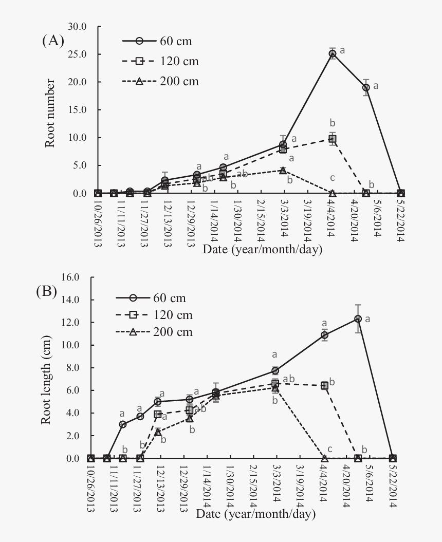 Diagram, HD Png Download