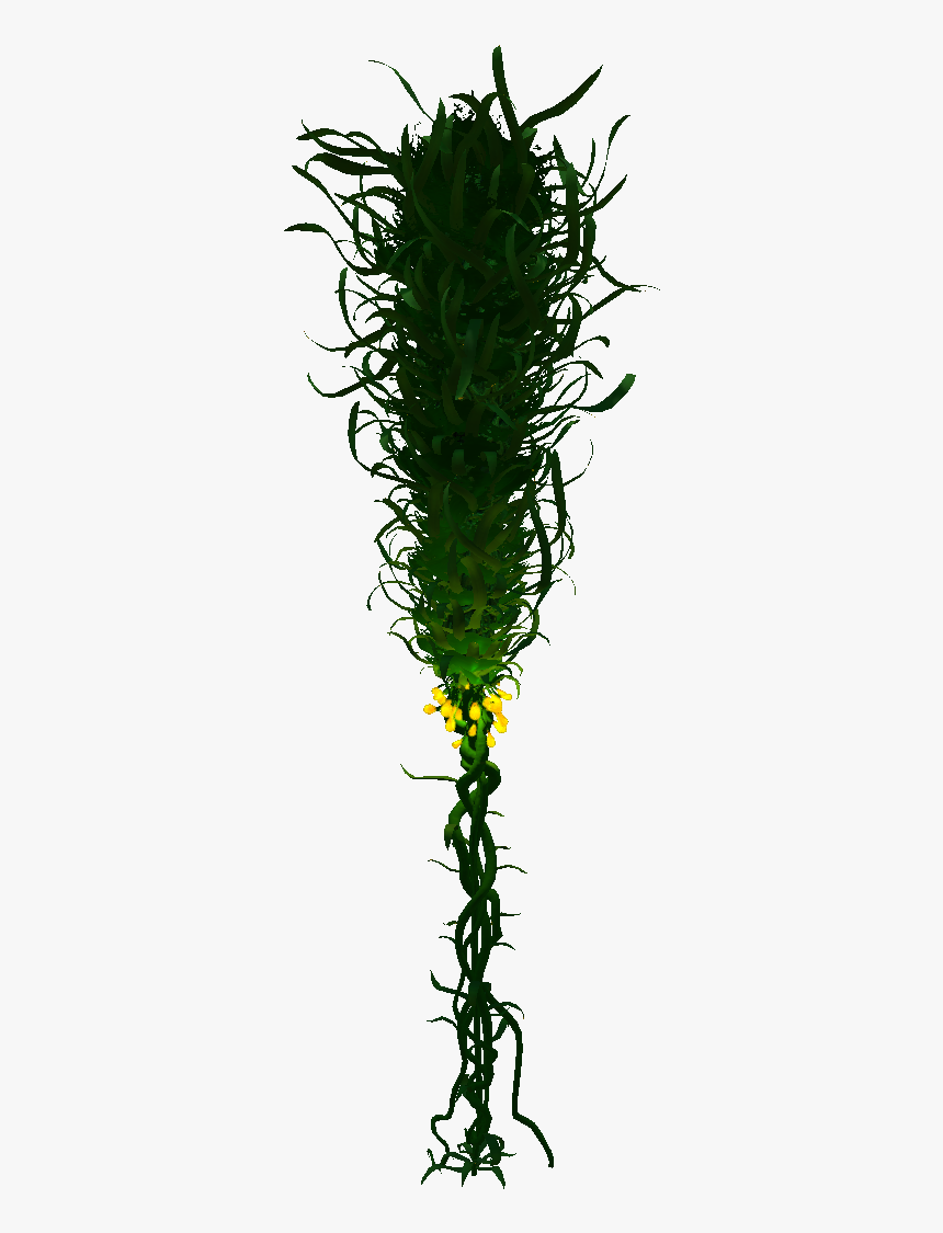 Subnautica Wiki - Subnautica Creepvine, HD Png Download