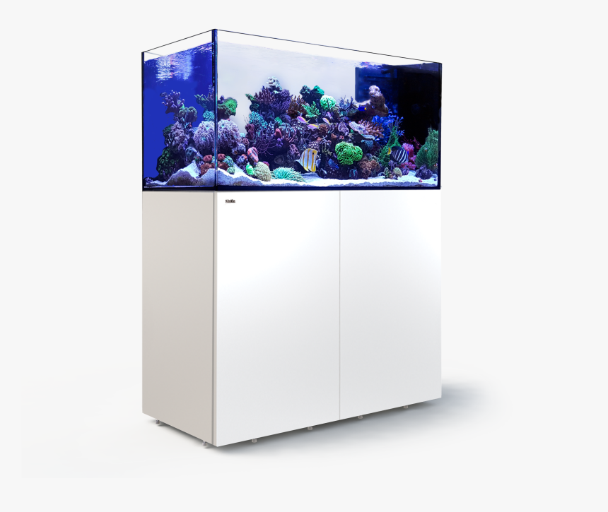 Red Sea Reefer Peninsula 650, HD Png Download