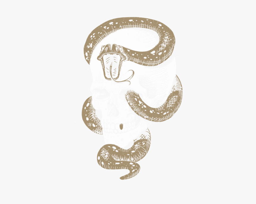 Illustration, HD Png Download