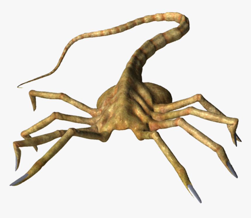 Facebook Like Thumbs Up Png - Face Hugger Png, Transparent Png