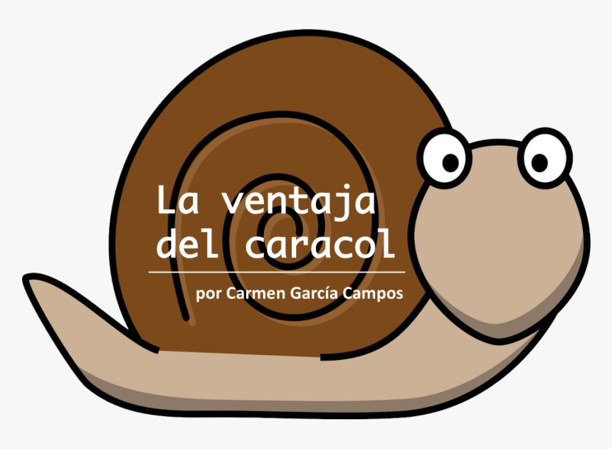 Transparent Caracol Png - Snail Clipart, Png Download