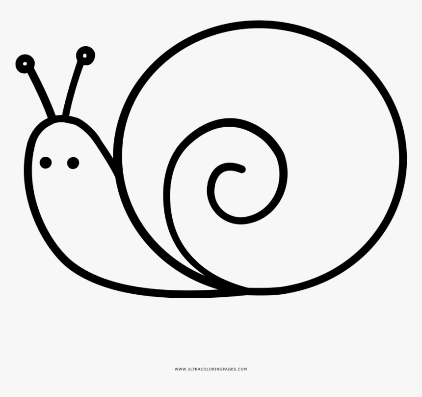 Caracol Página Para Colorear - Clipart Black And White Images Of Snail, HD Png Download