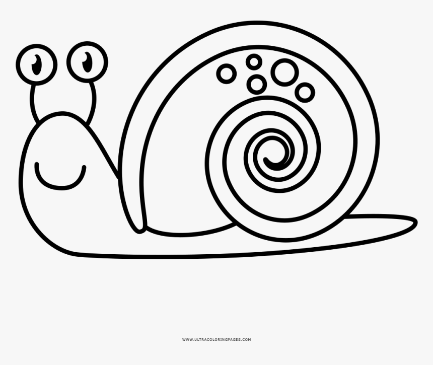 Caracol Página Para Colorear - Caracol Para Coloreal, HD Png Download