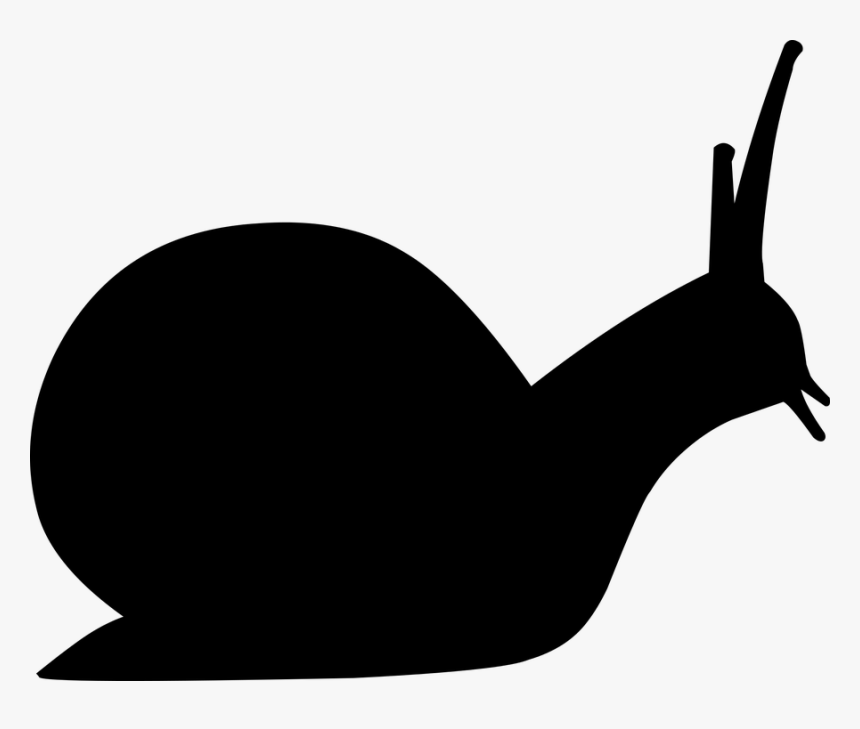 Caracol, Se Arrastra, Animales, Mamíferos - Illustration, HD Png Download