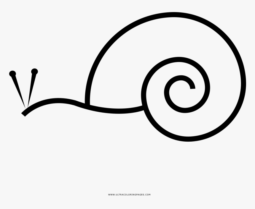 Caracol Página Para Colorear - Snail Png Icon, Transparent Png