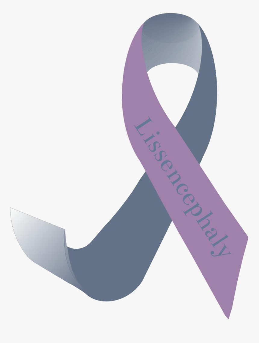 Lissencephaly Ribbon Color, HD Png Download
