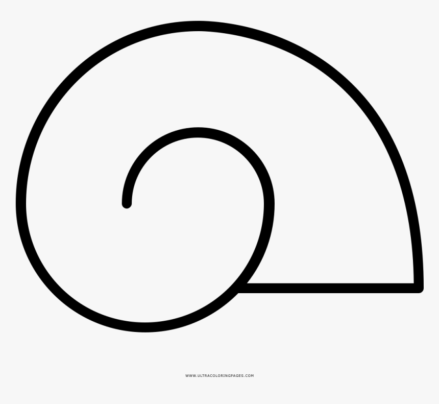 Caparazón De Caracol Página Para Colorear - Caparazón De Caracol Para Pintar, HD Png Download