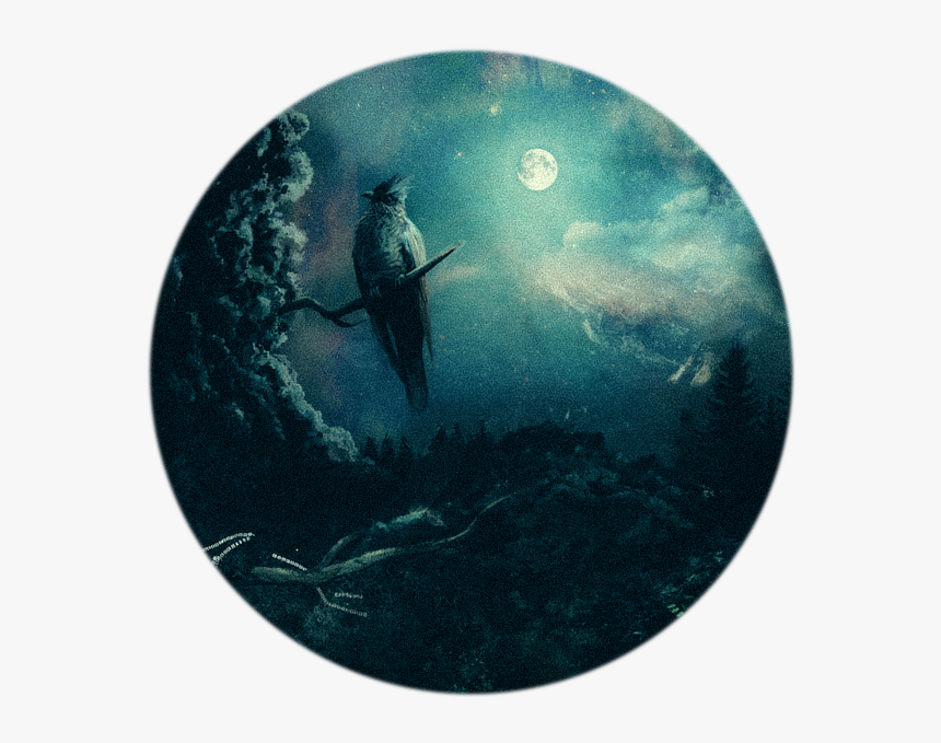 Sofia Sarri - Euphoria - Circle, HD Png Download