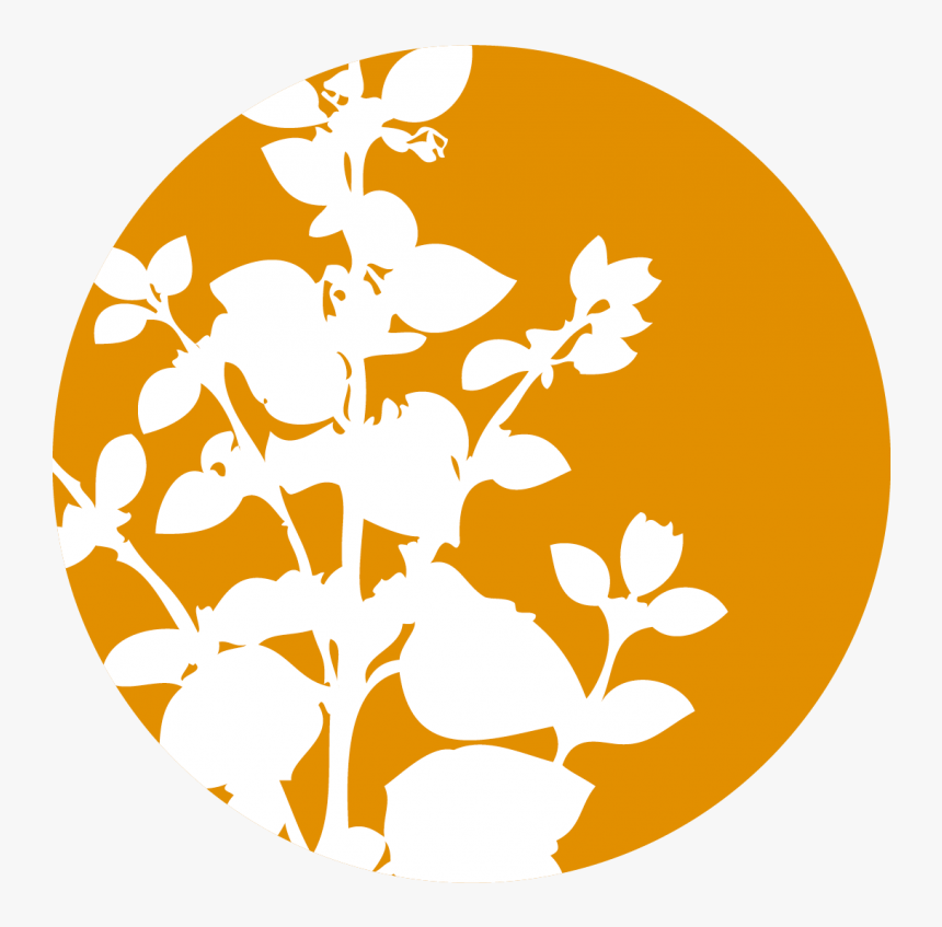 Tea Tree Essential Oil - Citronella Icon Png, Transparent Png