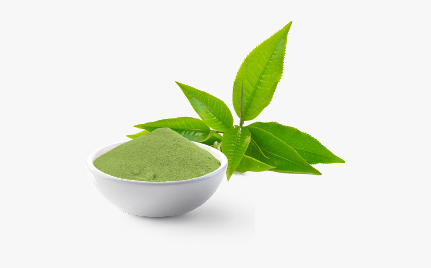 Green Tea Thai Icon Png, Transparent Png