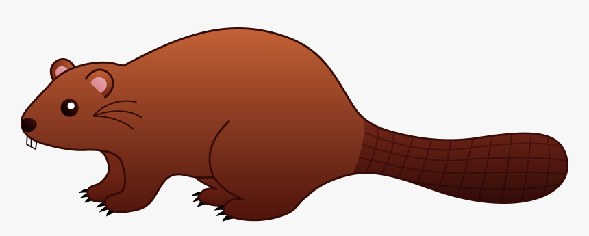 Clipart Beaver - Beaver Clipart, HD Png Download