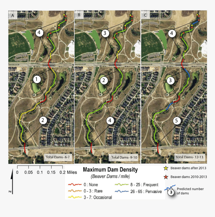 Modeled Capacity Of Westerly Creek To Support Beaver - Plan, HD Png Download