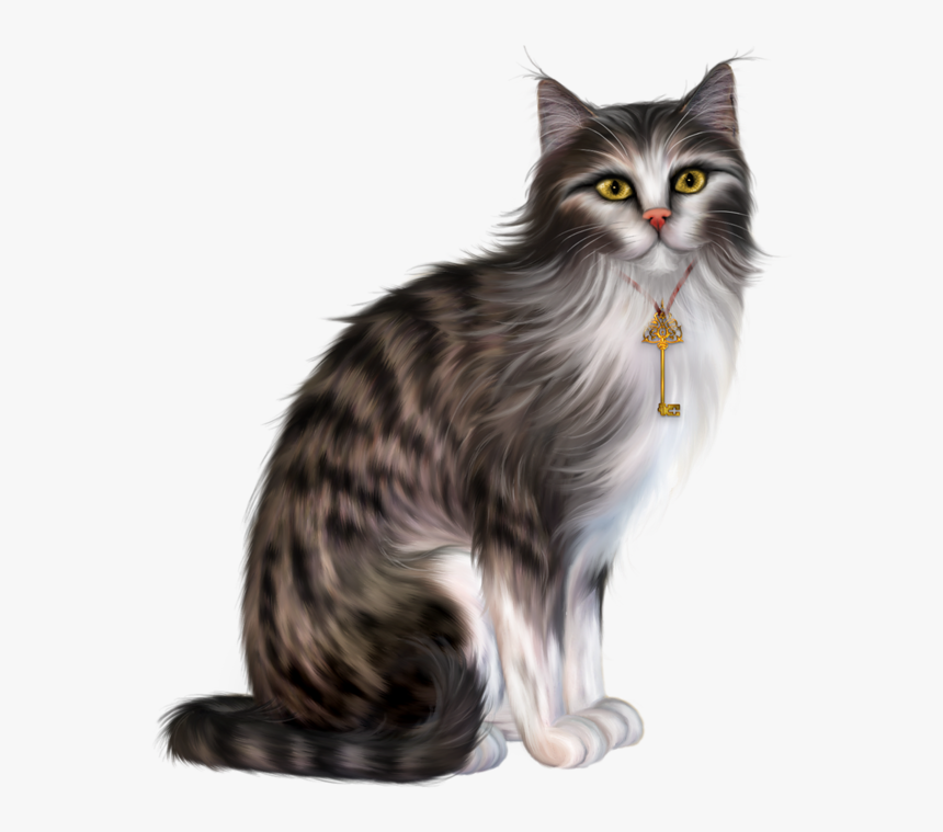 Clip Art Cat Kitten Picture Frame - Cat In Fancy Witch Hat 1, HD Png Download