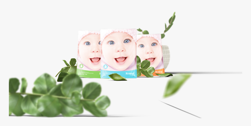 کرم دست و صورت هلث نوشن, HD Png Download