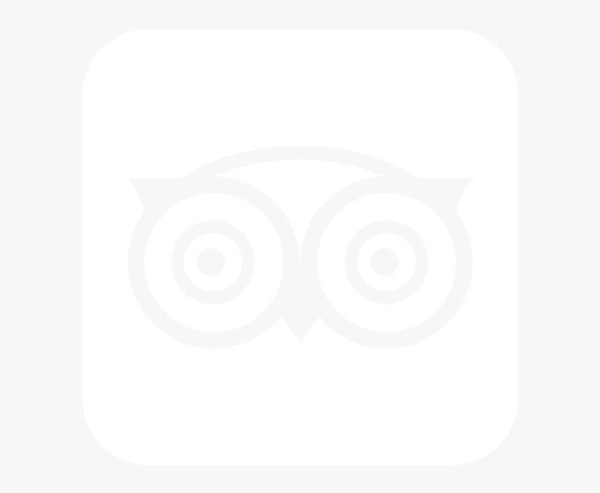 Tripadvisor - Owl Logos With Names, HD Png Download