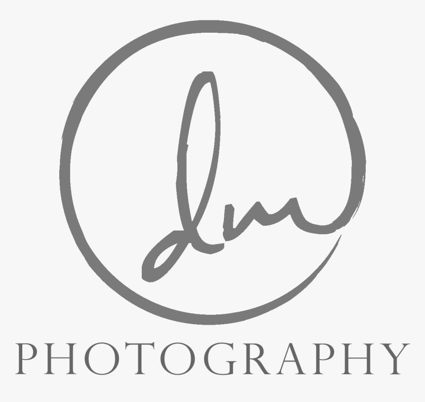 Dm Photography Calligraphy Hd Png Download Transparent Png Image Pngitem Dm Photography Calligraphy Hd Png Download Transparent Png Image Pngitem
