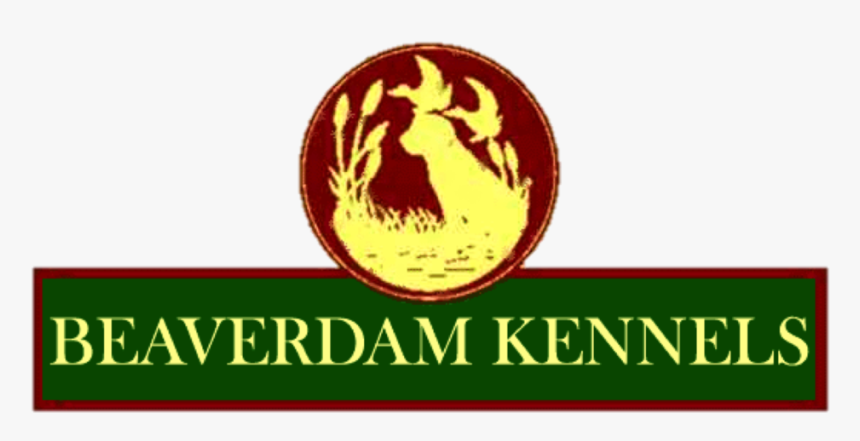 Beaverdam Logo, HD Png Download