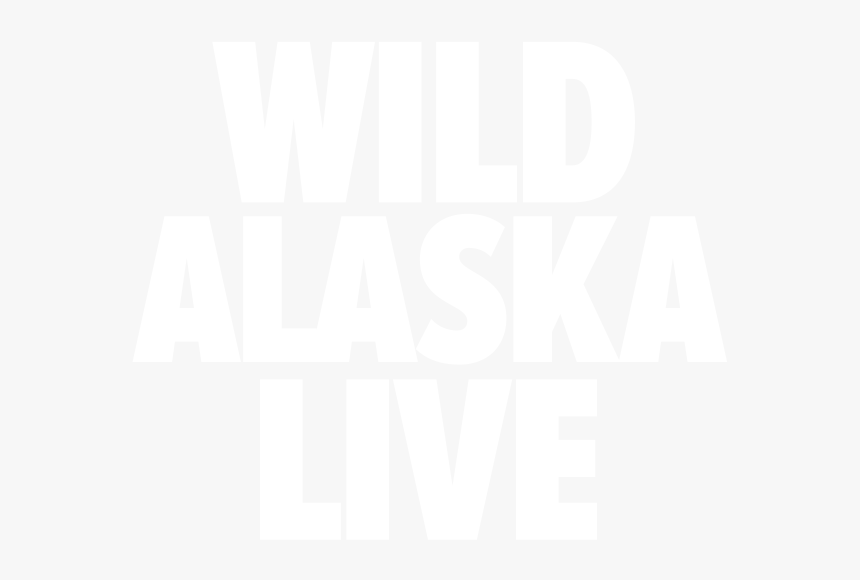 Poster, HD Png Download