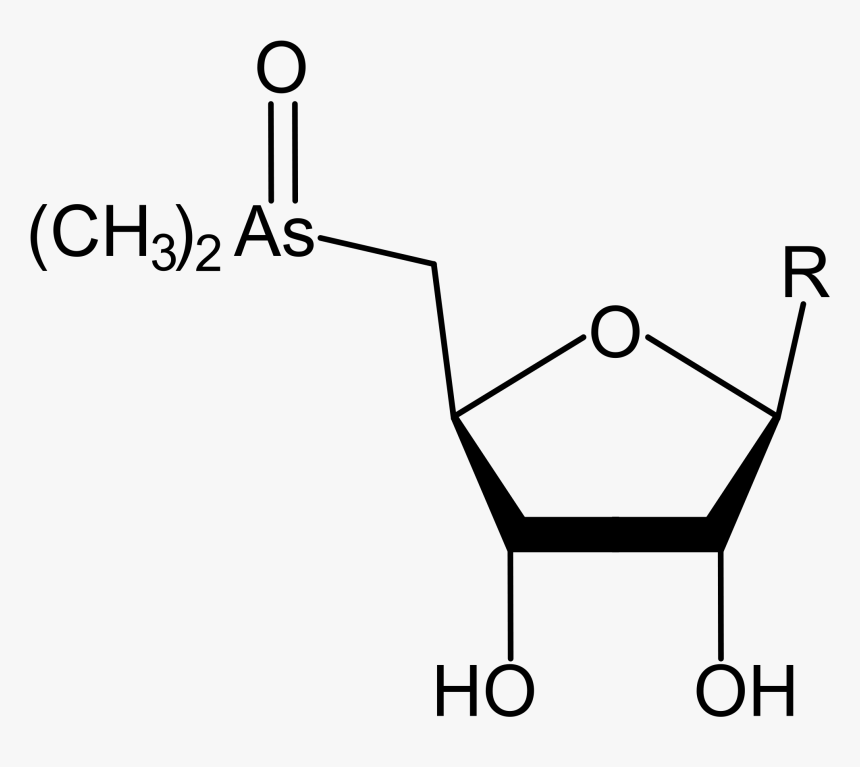 File - Dm-oxoarsenosugars - Arsenosugar, HD Png Download