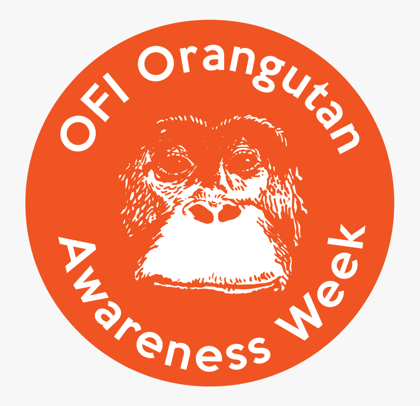 Orangutan Foundation, HD Png Download