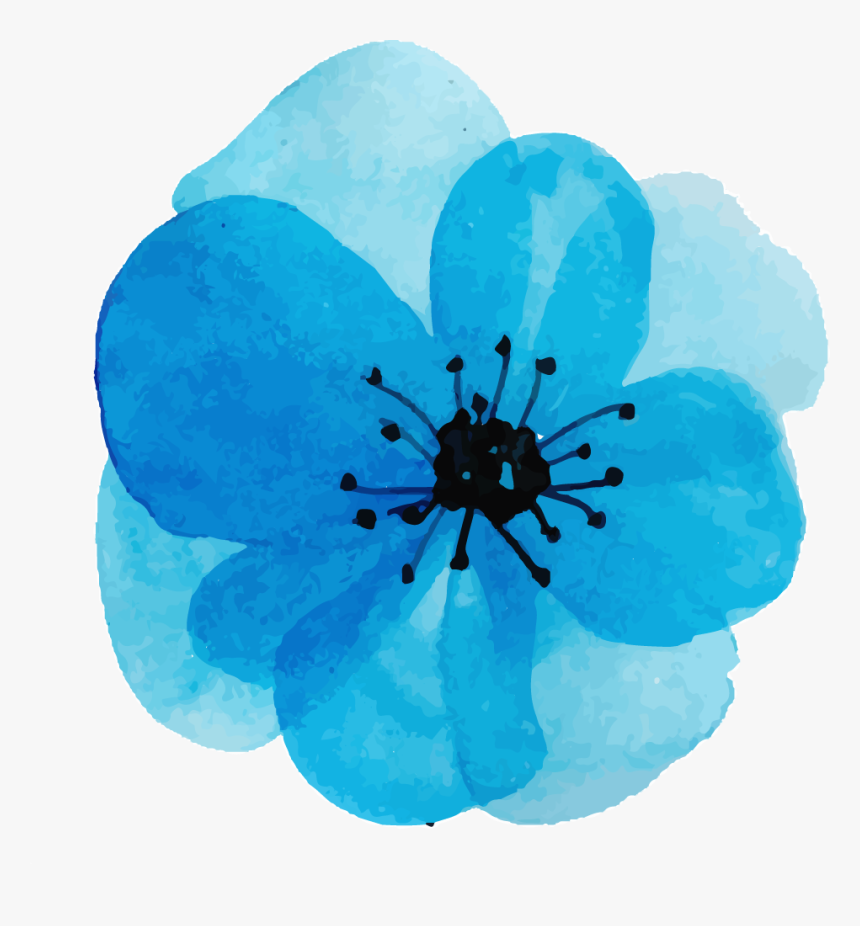 Corn Poppy, HD Png Download