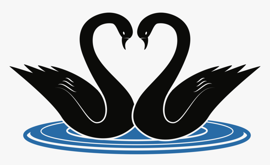 Heart,love,organ - Swans Clipart, HD Png Download