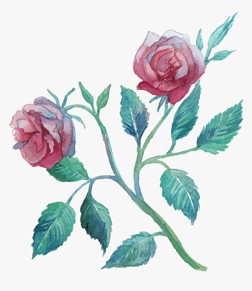 Flower Watercolor Painting Clip Art Transprent Png - Garden Roses, Transparent Png