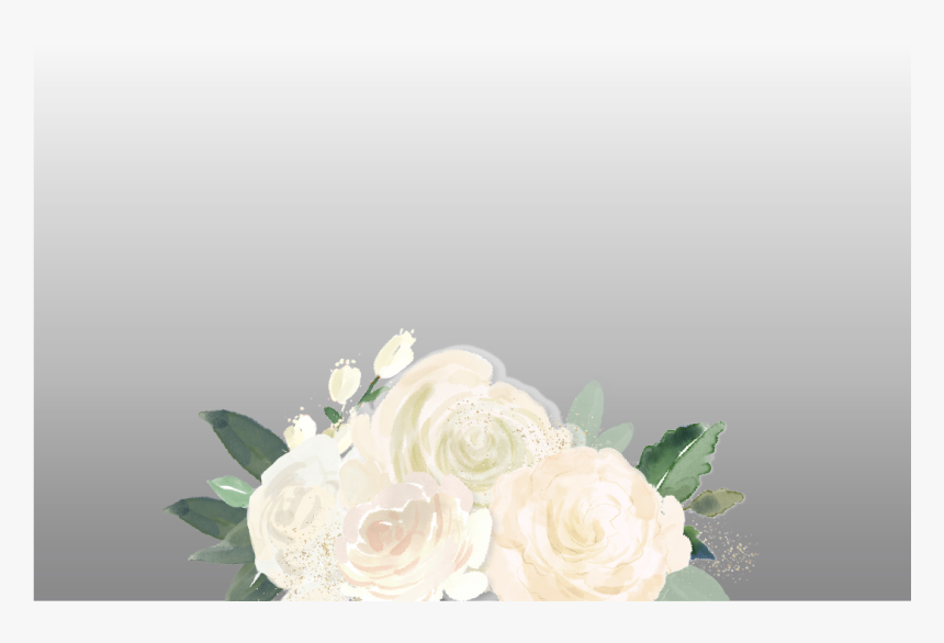 White Watercolor Flowers - Garden Roses, HD Png Download